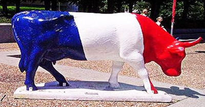 Les propositions des candidats en matière de protection animale pourraient-elles influencer votre vote ?