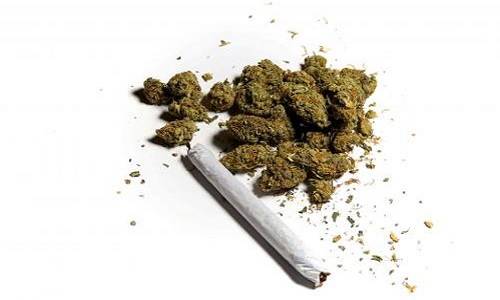Pour ou contre le légalisation du cannabis ?