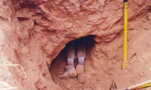 Êtes-vous favorable au déterrage réglementaire des blaireaux?