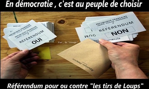 Pour ou contre les tirs des loups ?