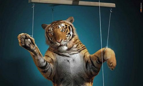 Boycottez-vous les cirques avec animaux?