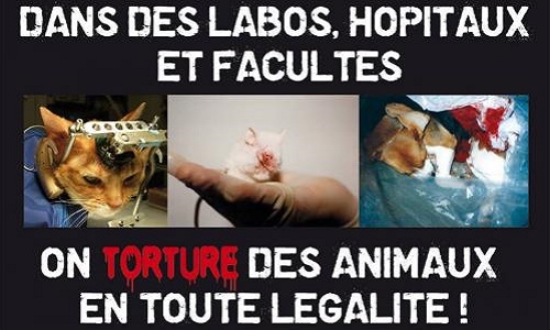 Êtes-vous pour ou contre l'expérimentation animale au sein des hôpitaux et facultés de Brabois à Vandoeuvre-les-Nancy ?