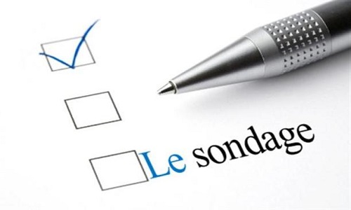 Tous ont peur de Marine Le Pen, les sondages sont-ils trafiqués ?