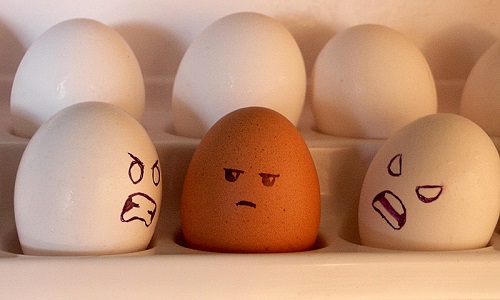 Trouvez-vous que ce site contient beaucoup de racistes?