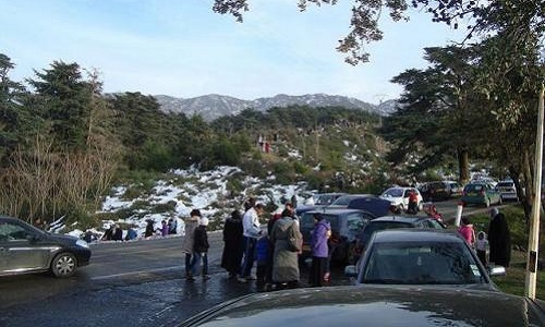 Pensez-vous que l'accès en voiture aux parcs nationaux algériens doit être réglementé ?