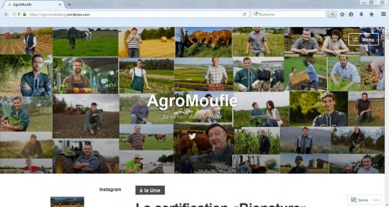 Est-ce que l'entreprise Agromoufle respecte-t-elle la parité hommes-femmes sur son site web ?