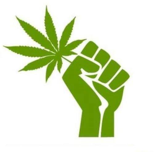 Serait t'il temps de légaliser le cannabis en France ?