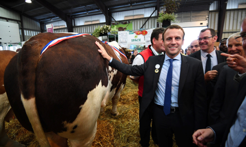 Selon vous, Emmanuel Macron agira-t-il en faveur de la condition animale ?