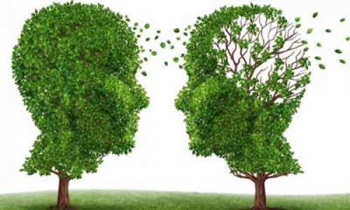 Permettre aux personnes âgées de rester géographiquement proches de leur lieu de vie habituel en leur donnant priorité sur les établissements à proximité, cela vous parait-il relever d'un droit d'humanité ?