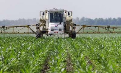 Acceptez-vous le nouveau pesticide de Monsanto : le Dicamba ?