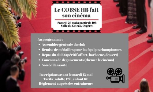 Pourquoi ne vous êtes-vous pas inscrits au repas du club du samedi 26 mai 2018 ?