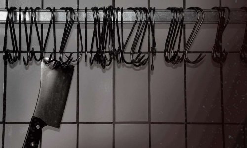 Que pensez-vous de l'ignorance totale des députés face à la cause animale ?