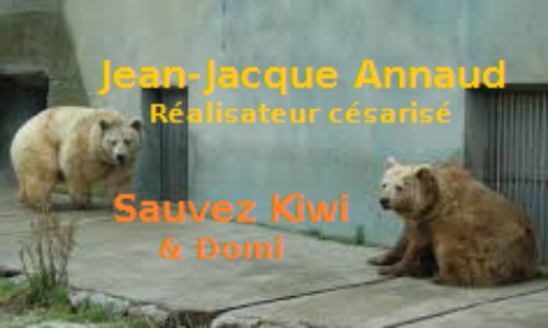 Que pensez-vous du refus de Jean-Jacques Annaud, le réalisateur du film «L'Ours», de soutenir la libération de Kiwi, l'un des oursons utilisé pour son film césarisé, qui agonise dans un zoo ? Et irez-vous encore voir ses films ?