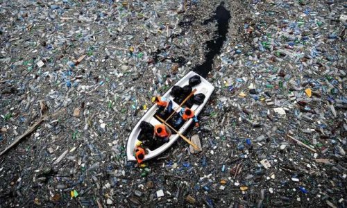 Environnement : êtes-vous prêts à bannir le plastique de votre quotidien ?