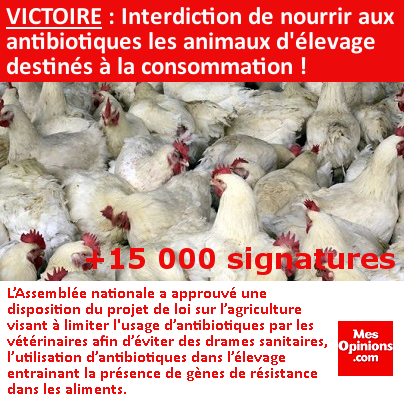 VICTOIRE : Interdiction de nourrir aux antibiotiques les animaux d'élevage destinés à la consommation !