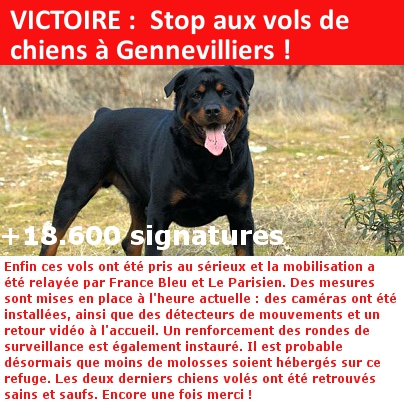 VICTOIRE : Stop aux vols de chiens à la S.P.A de Gennevilliers !